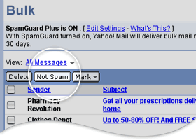 SpamGuard Plus settings for the Bulk folder